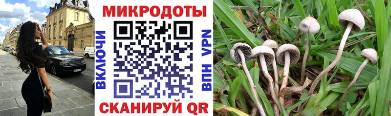 Галлюциногенные грибы Cubensis Купить закладки Новоалександровск